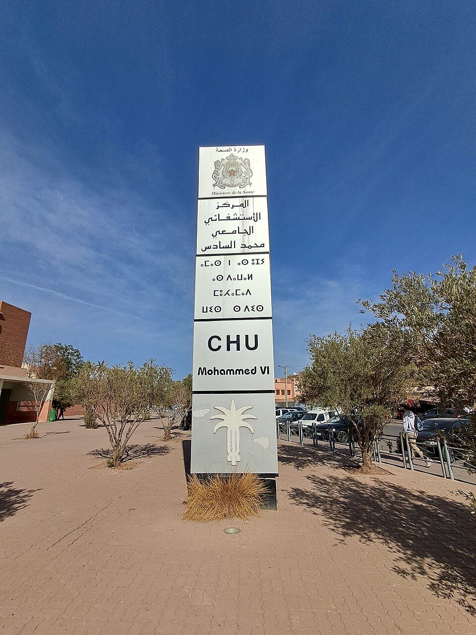 المركز الاستشفائي الجامعي محمد السادس بمراكش